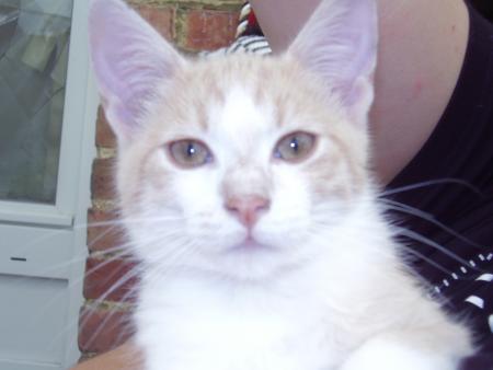 léo